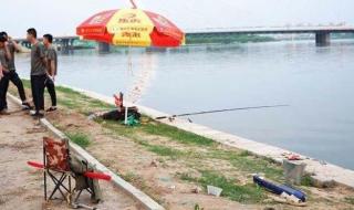 江苏男子钓鱼勾到一溺亡老人,这位老人为何会有如此举动 男子钓到一溺亡老人