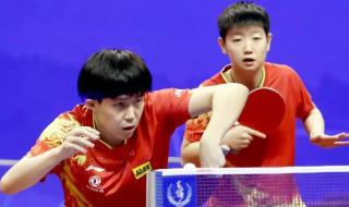 王楚钦为什么是太子 王楚钦为什么是太子