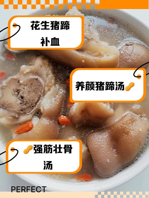 猪蹄汤的做法大全(猪蹄汤做法大全补气血)