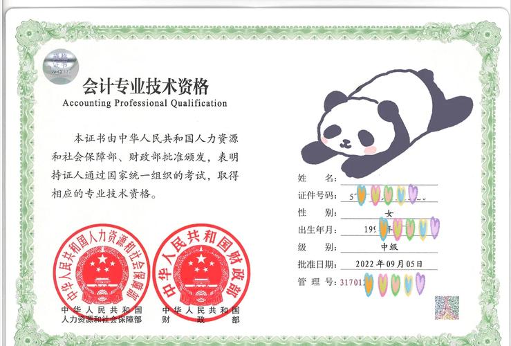 全国会计资格考试官网(中国会计资格考试)