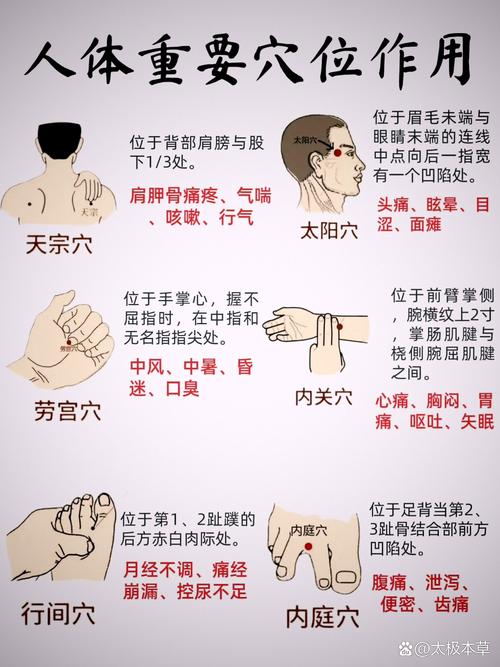 中医养生穴位(中医养生常用养生方法)