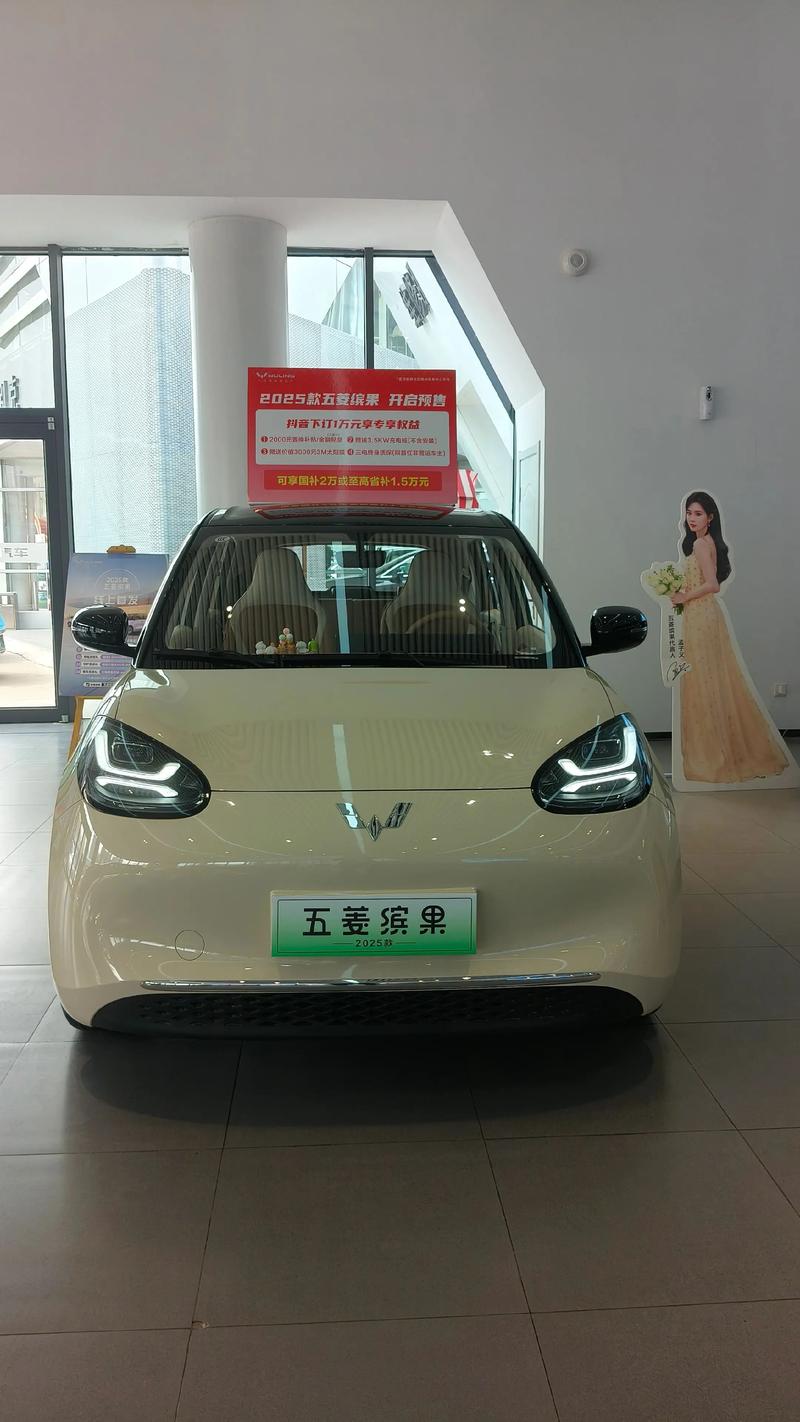 nissan汽车报价(五菱缤果298万落地价)