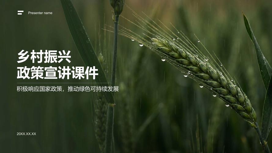 乡村振兴项目申报（乡村振兴项目申报模板）