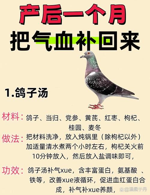 产妇鸽子汤的做法（产妇鸽子汤的做法补气补血）