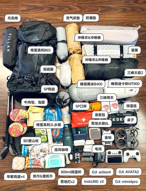 自驾游的装备有哪些(自驾游必备的10大装备)