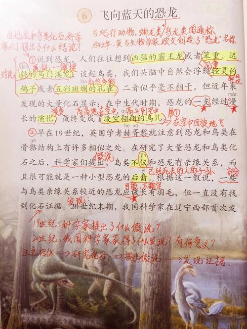 飞向蓝天的恐龙课后题答案（飞向蓝天的恐龙课后问题解答）