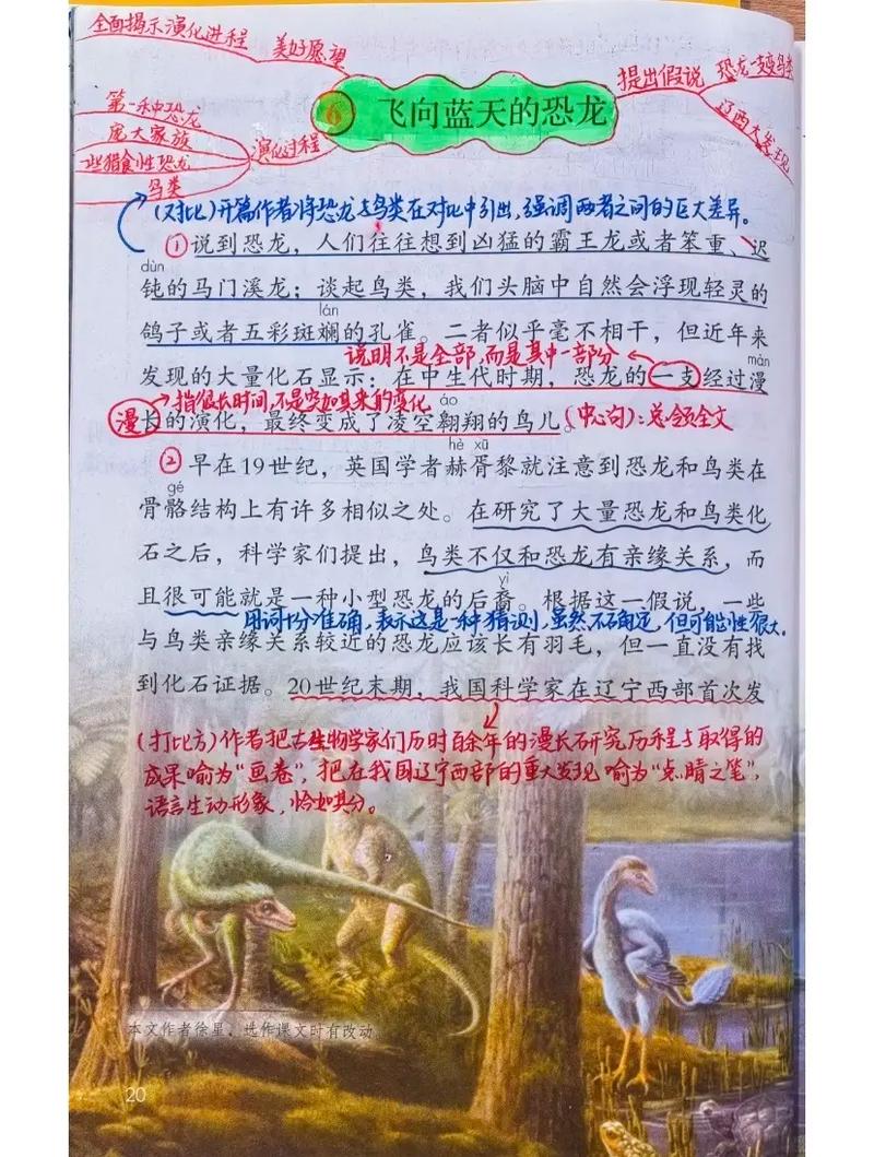飞向蓝天的恐龙课后题答案（飞向蓝天的恐龙课后问题解答）