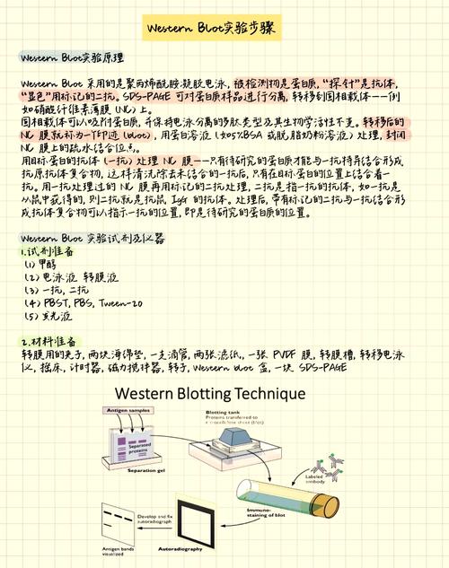高校实验室如何助力科技自立？清华团队案例研究（高校实验室如何管理）