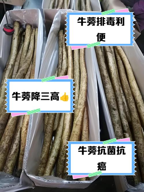 牛蒡的做法(牛蒡的做法大全)