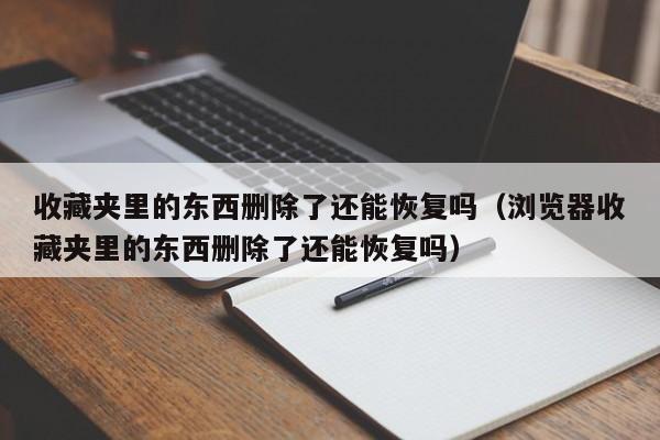收藏夹里的东西删除了还能恢复吗（浏览器收藏夹里的东西删除了还能恢复吗）