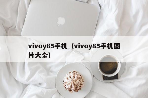 vivoy85手机（vivoy85手机图片大全）
